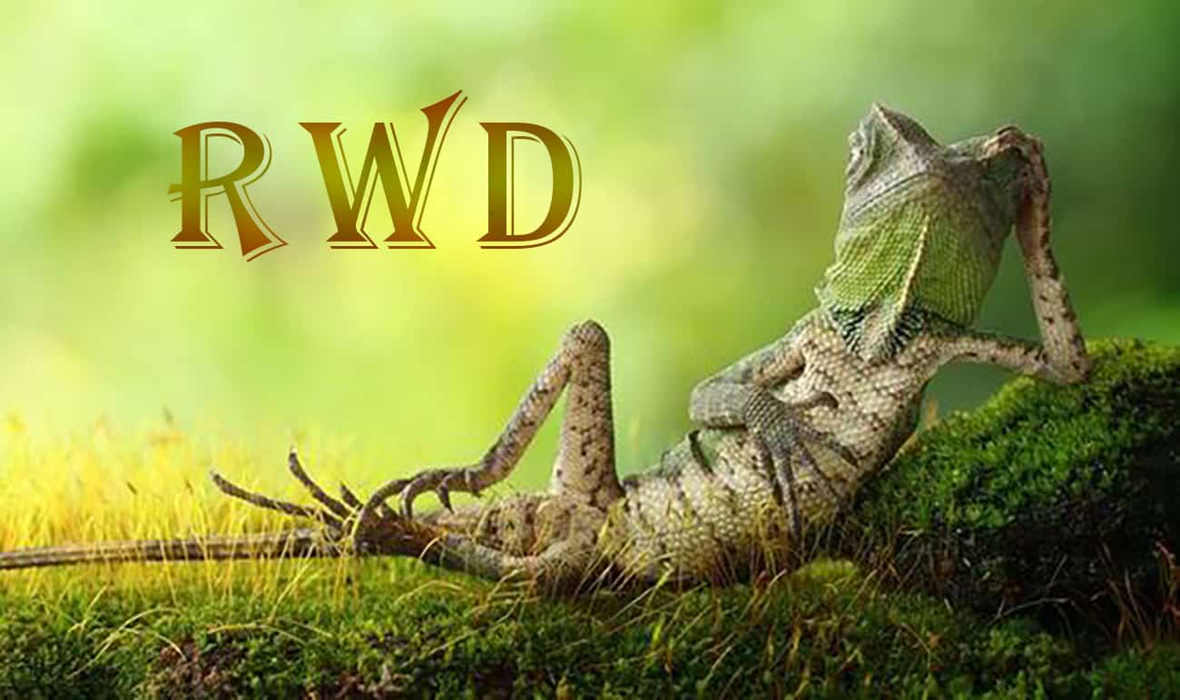 RWD التصميم سريع الاستجابة